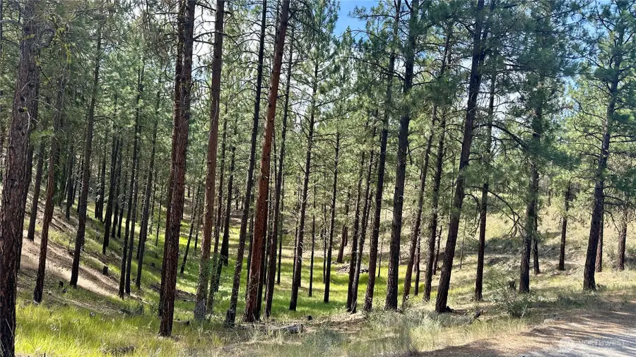 98 Larkspur Drive #29, Winthrop, WA 98862 - Image #2