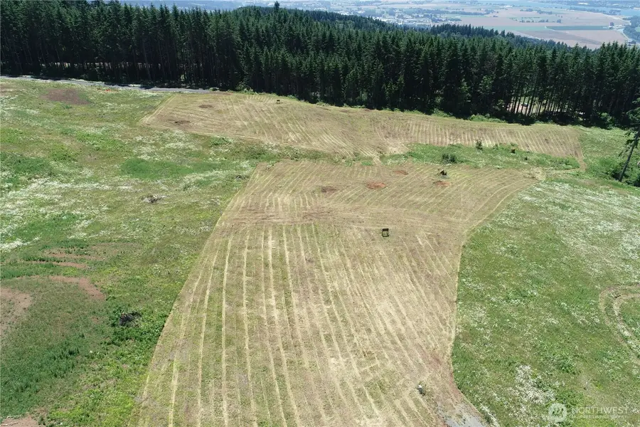 149 Resort Lane #1, Kalama, WA 98625 - Image #3