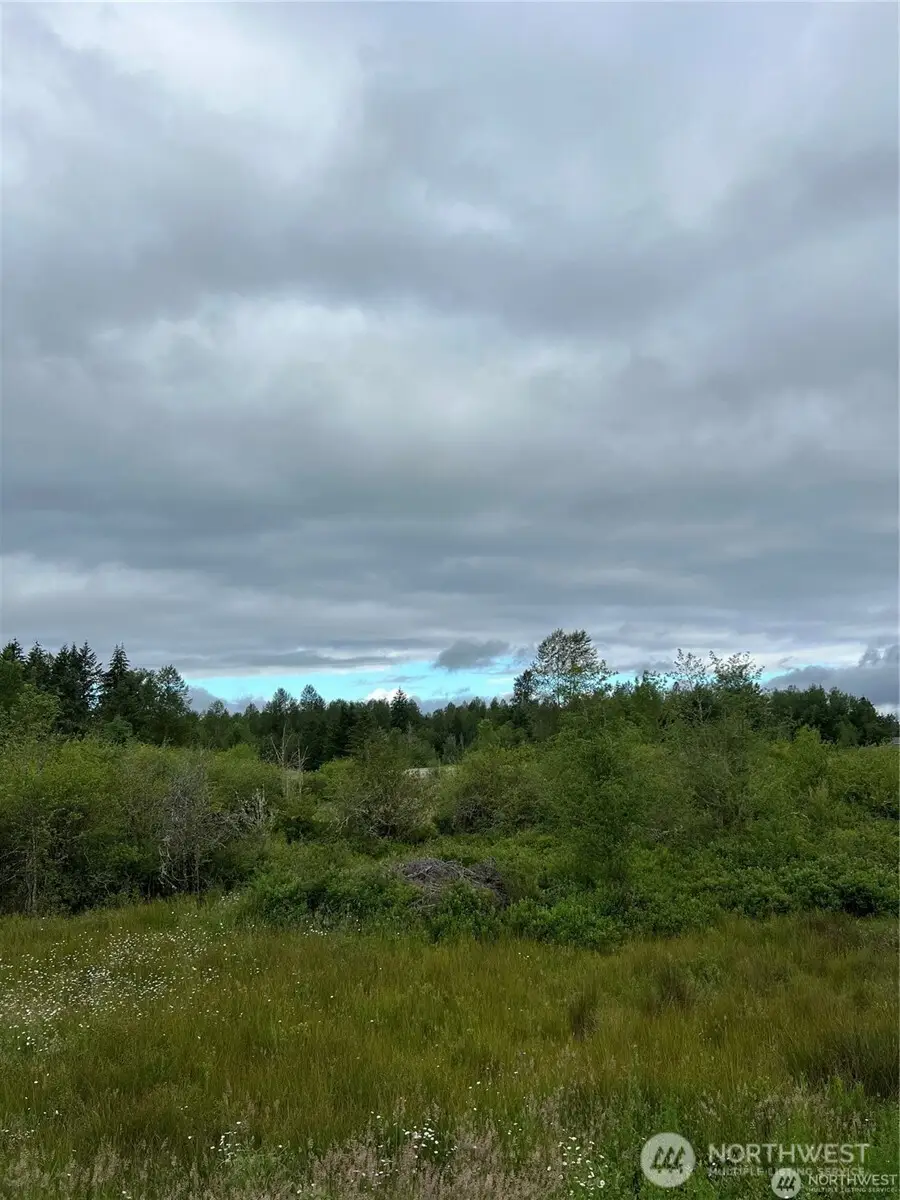 0 134th Avenue E, Graham, WA 98338 - Image #2