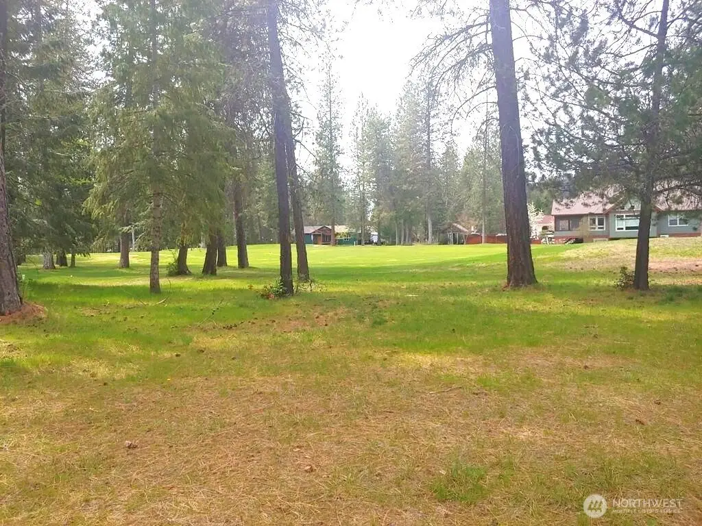 183 E Trappers Loop #Lot 52, Chewelah, WA 99109 - Image #1