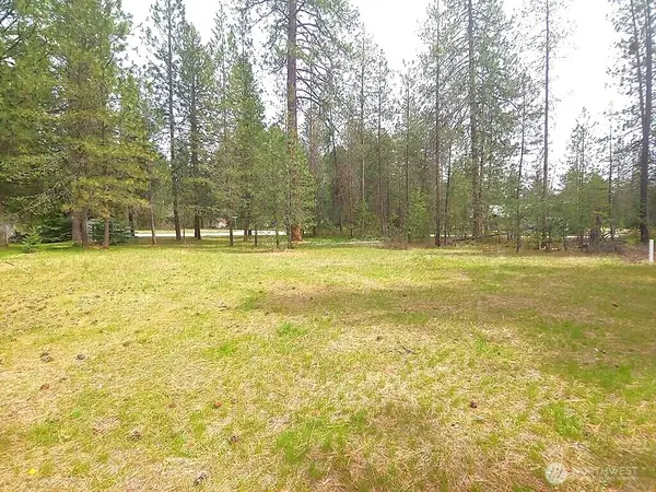 183 E Trappers Loop #Lot 52, Chewelah, WA 99109