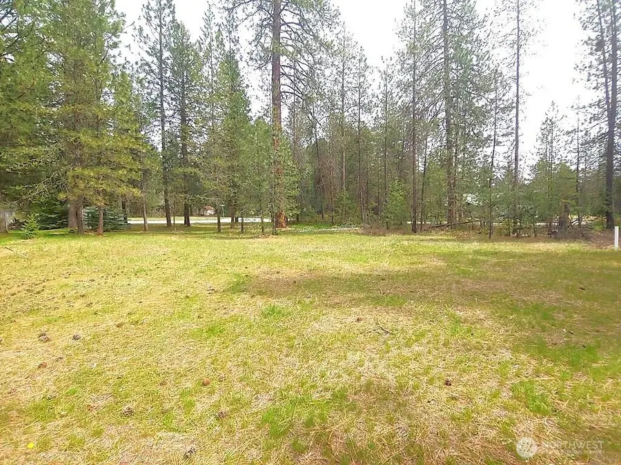 183 E Trappers Loop #Lot 52, Chewelah, WA 99109 - Image #2