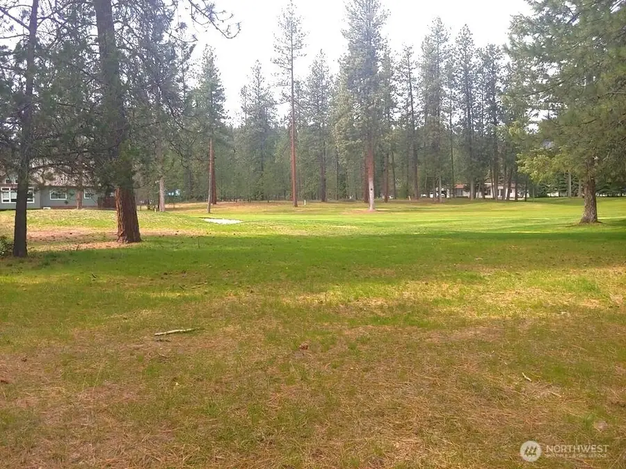 183 E Trappers Loop #Lot 52, Chewelah, WA 99109 - Image #3