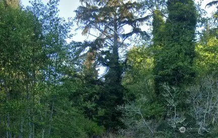 0 Cosgrove Street #Lot 33, Hoquiam, WA 98550