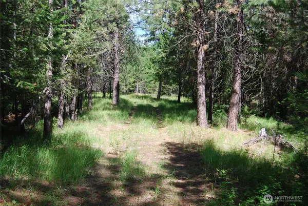 30 Wild Turkey #30-23, Riverside, WA 98849