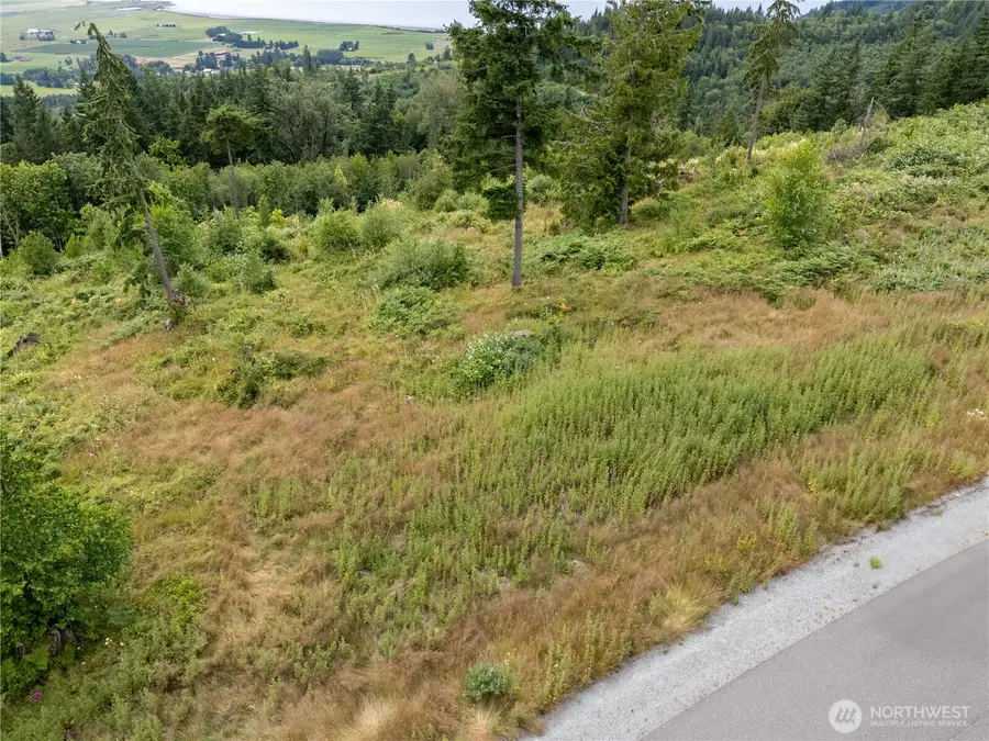 3284 Blanchard Knob Trail #3, Burlington, WA 98233 - Image #3