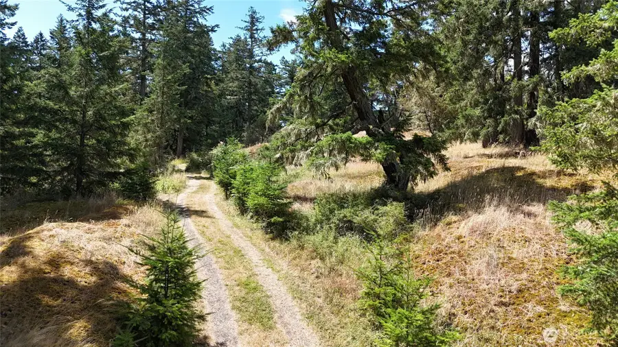 0 Woodpecker Lane, Friday Harbor, WA 98250 - Image #2
