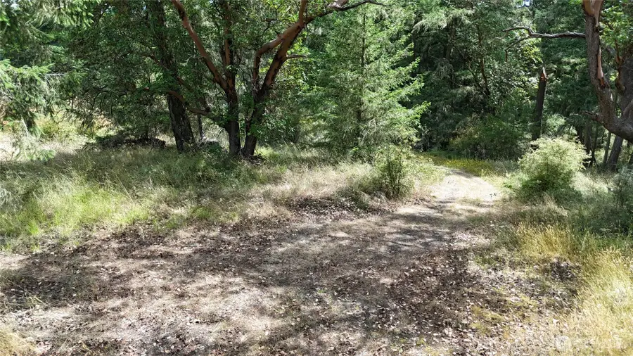 0 Woodpecker Lane, Friday Harbor, WA 98250 - Image #3