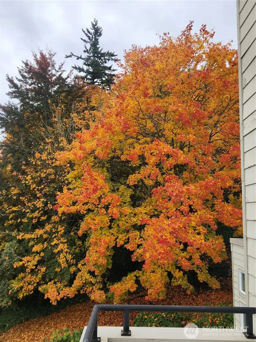 7435 Old Redmond Rd #325, Redmond, WA 98052 - Image #3