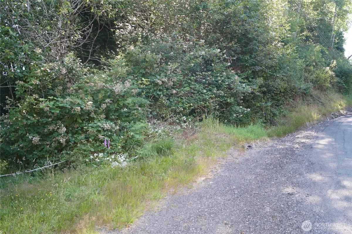 0 Bigelow Drive, Aberdeen, WA 98520 - Image #1