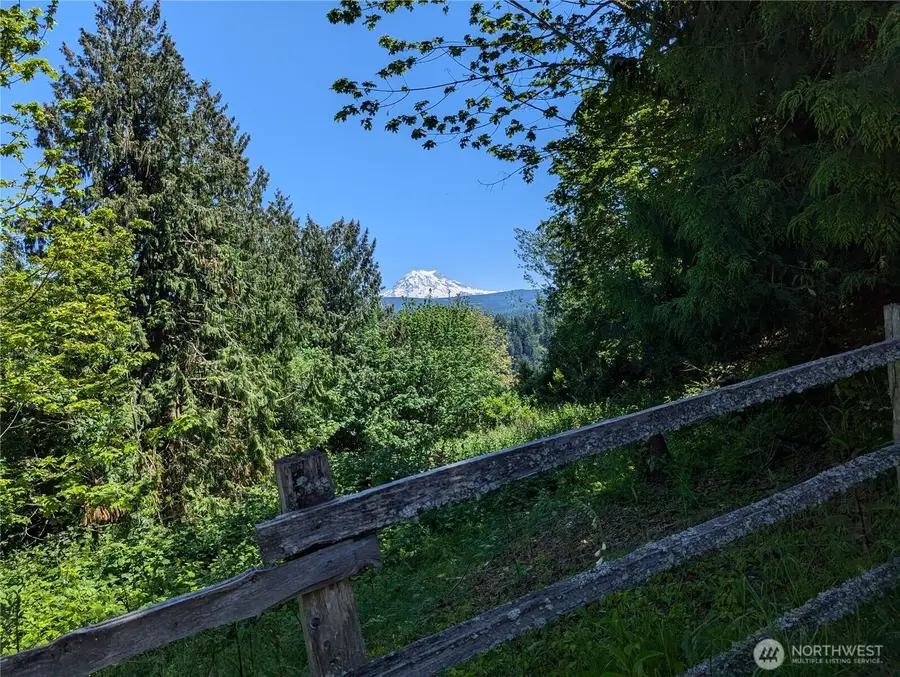 23105 165th Avenue E, Graham, WA 98338 - Image #2