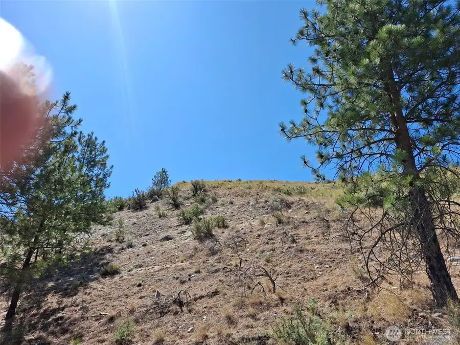 1299 Old Highway 97, Malott, WA 98829 - Image #3