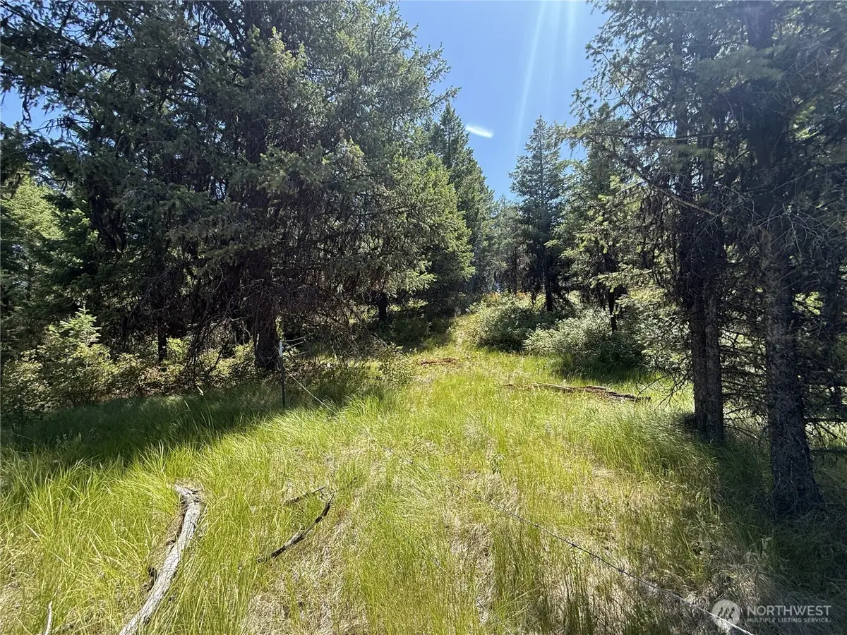 135 Slippery Hill Lane #N2 SW4 SE4, Republic, WA 99166 - Image #1