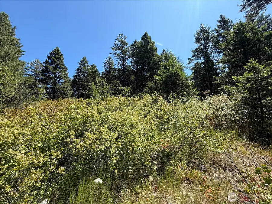 135 Slippery Hill Lane #N2 SW4 SE4, Republic, WA 99166 - Image #2