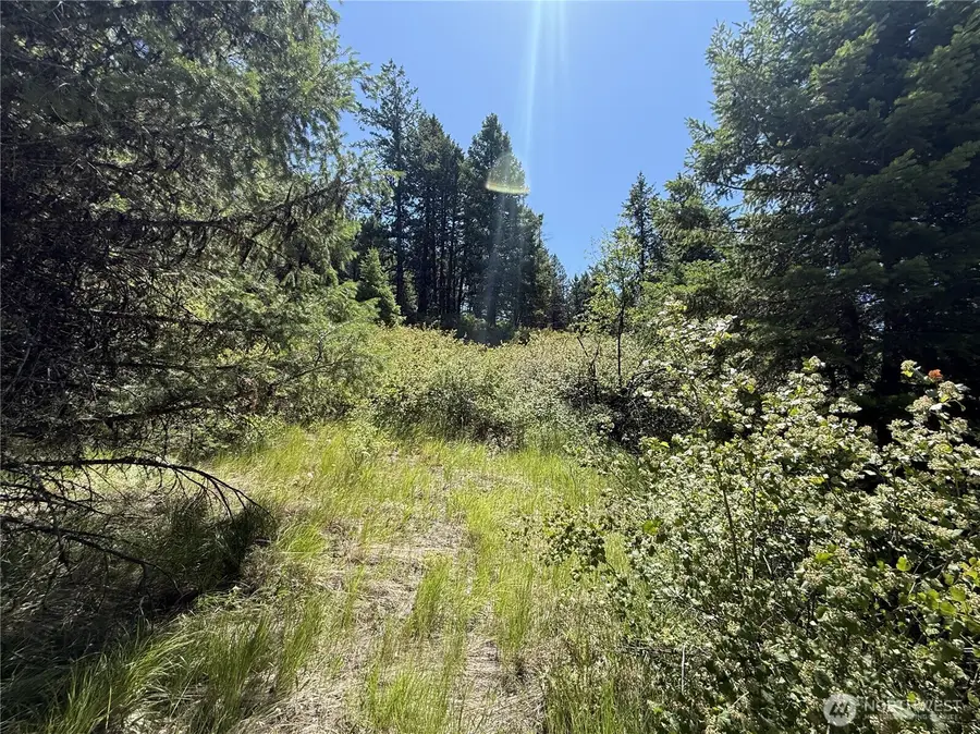 135 Slippery Hill Lane #N2 SW4 SE4, Republic, WA 99166 - Image #3