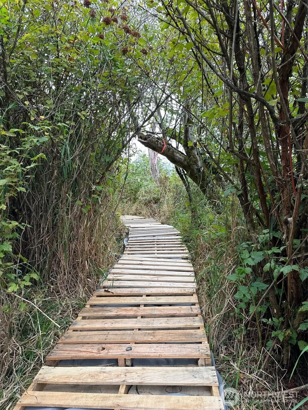 0 43rd Avenue Se #1-7, 22-28, Everett, WA 98201 - Image #1