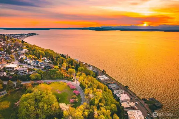 1019 California Lane Sw, Seattle, WA 98116