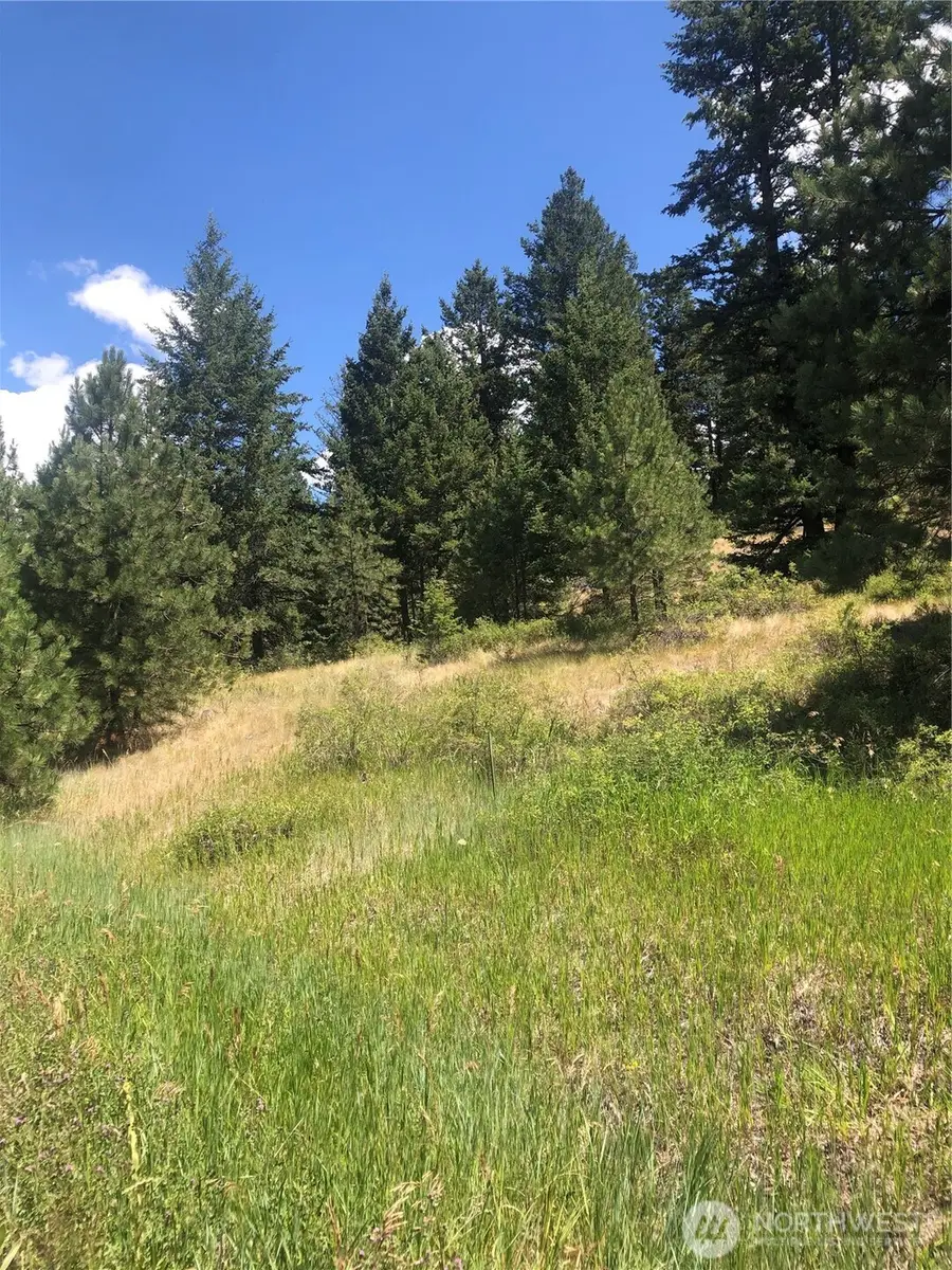 22 Pine Chee Road, Oroville, WA 98844 - Image #2