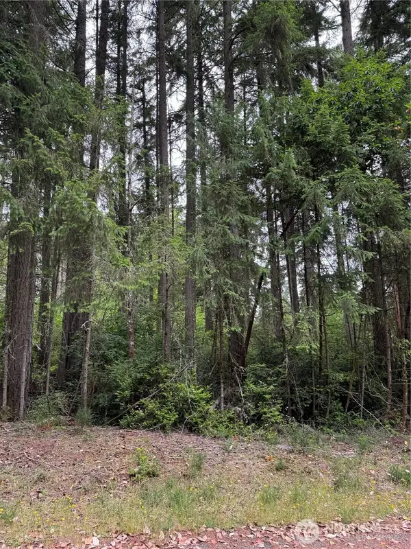 10419 Matthews Way #107, Anderson Island, WA 98303