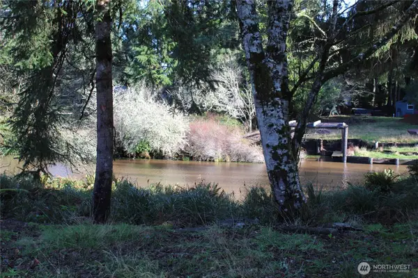 152 Dolphin Avenue Se #667, Ocean Shores, WA 98569