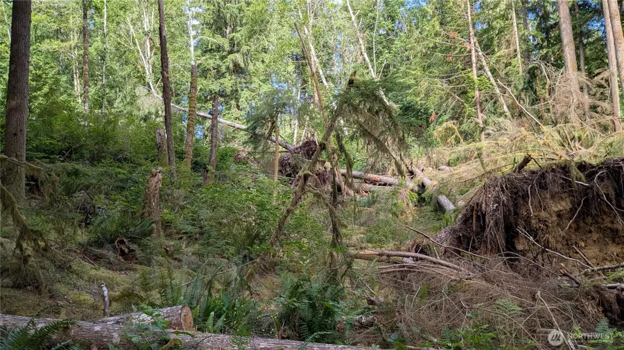 7511 Woods Lake, Monroe, WA 98272 - Image #2