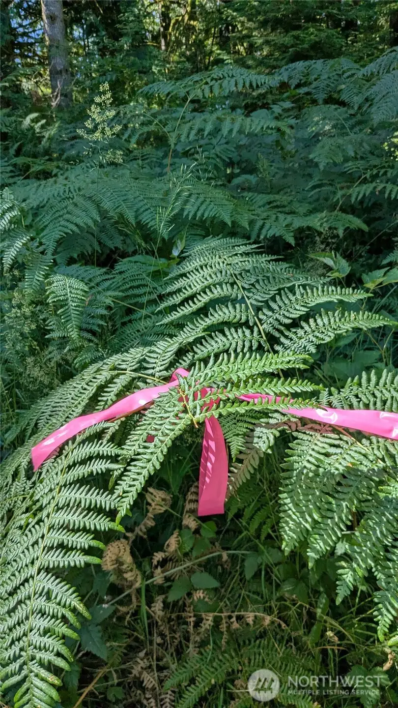 7511 Woods Lake, Monroe, WA 98272 - Image #3