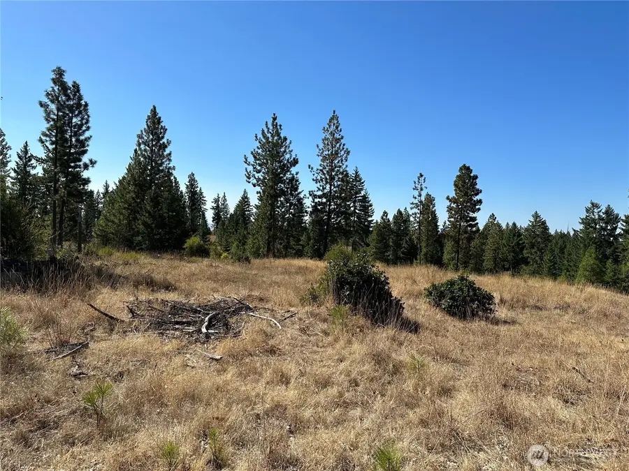 0 Three Mountains Meadows, Goldendale, WA 98620 - Image #2