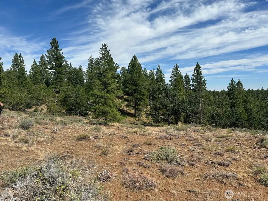 0 Three Mountains Meadows, Goldendale, WA 98620 - Image #3