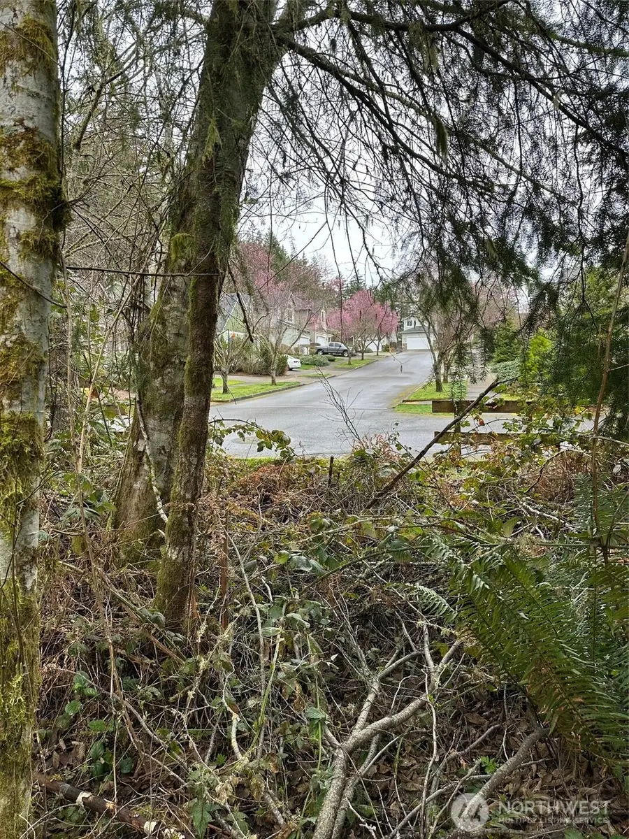 3133 32nd Avenue Nw, Olympia, WA 98502 - Image #3