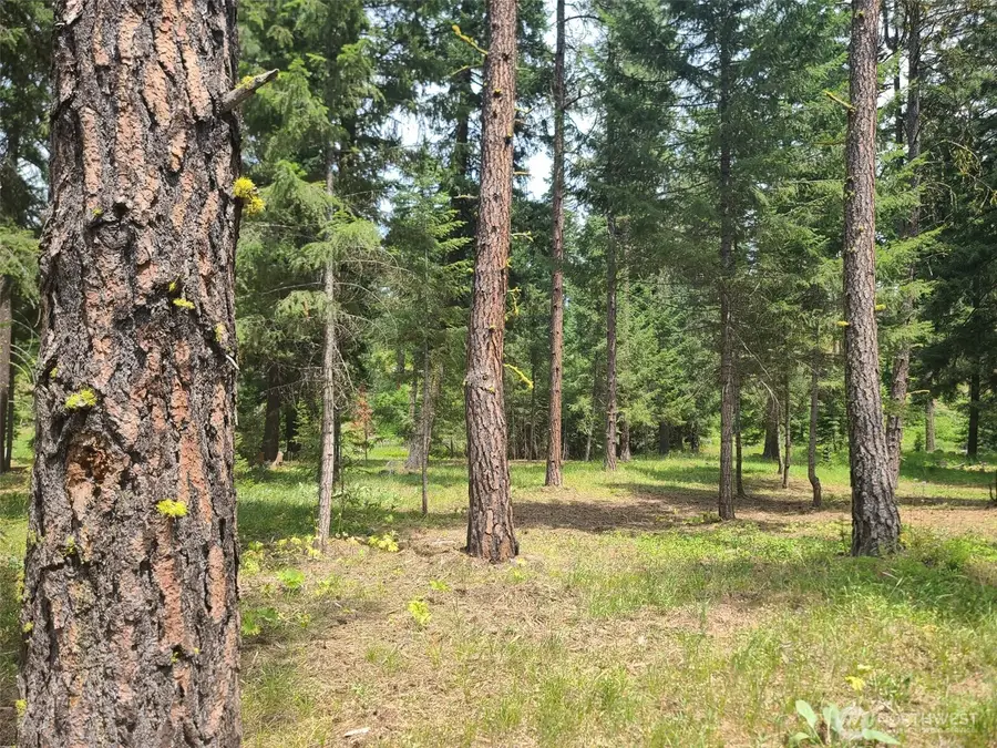 53 Wanawish Loop #53, Cle Elum, WA 98922 - Image #3