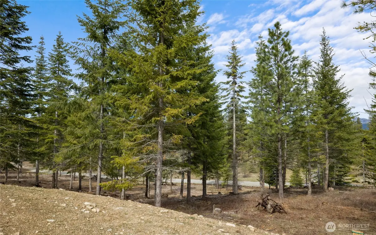 73 Liberty Bell Lane #17-73, Cle Elum, WA 98922 - Image #1