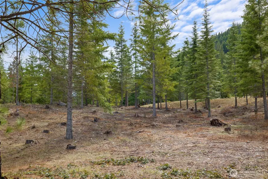 73 Liberty Bell Lane #17-73, Cle Elum, WA 98922 - Image #2