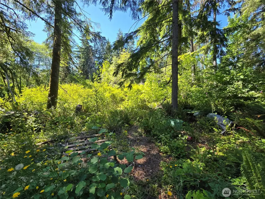 351 W Haven Drive, Elma, WA 98541 - Image #2