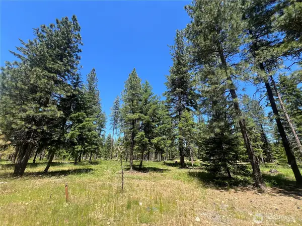 33 Domerie Park Loop #17-33, Cle Elum, WA 98922