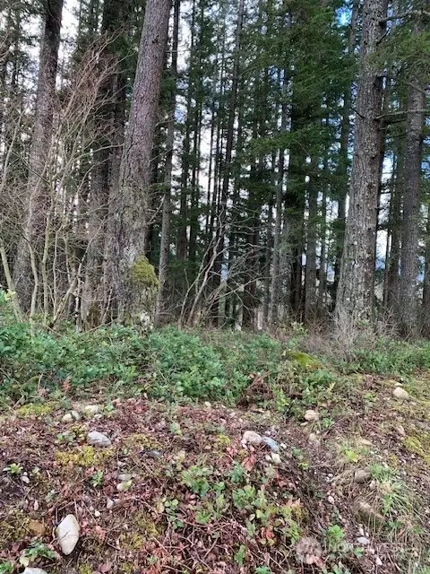 450 SE North Bend Way, North Bend, WA 98045 - Image #1