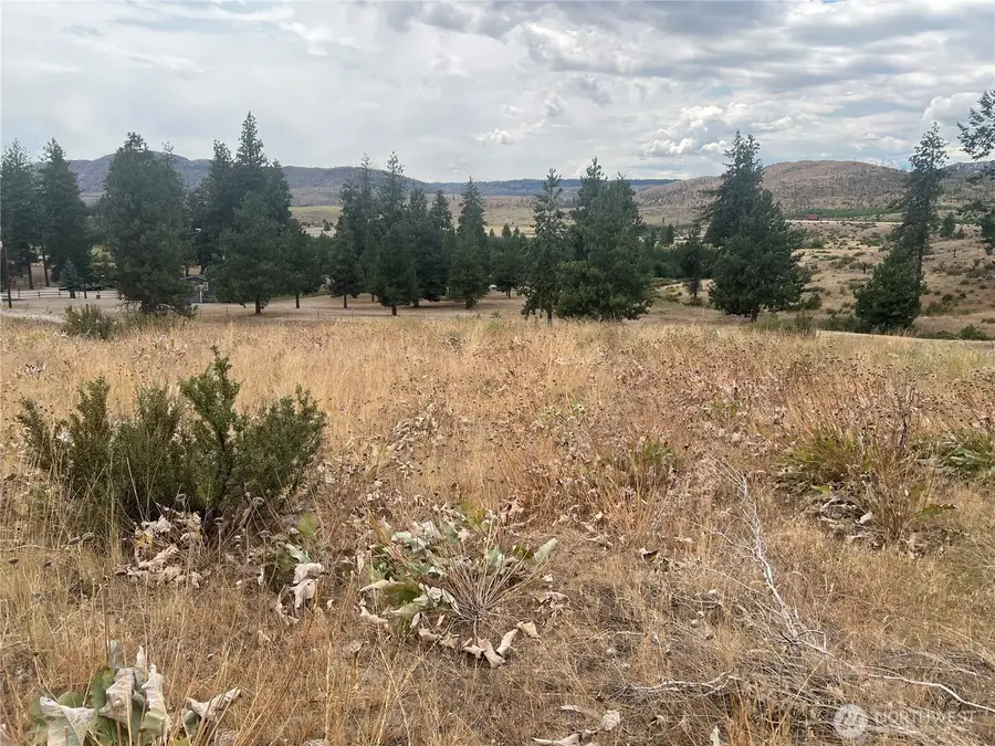 10 Landers Road, Malott, WA 98829 - Image #3