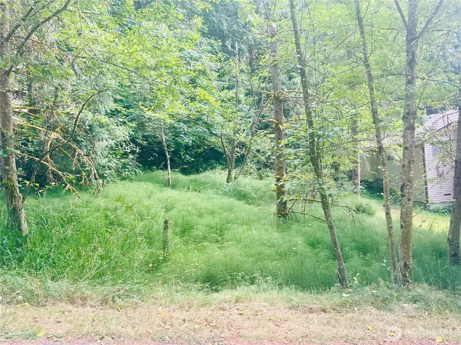 9 Marigold Drive #61, Bellingham, WA 98229 - Image #2