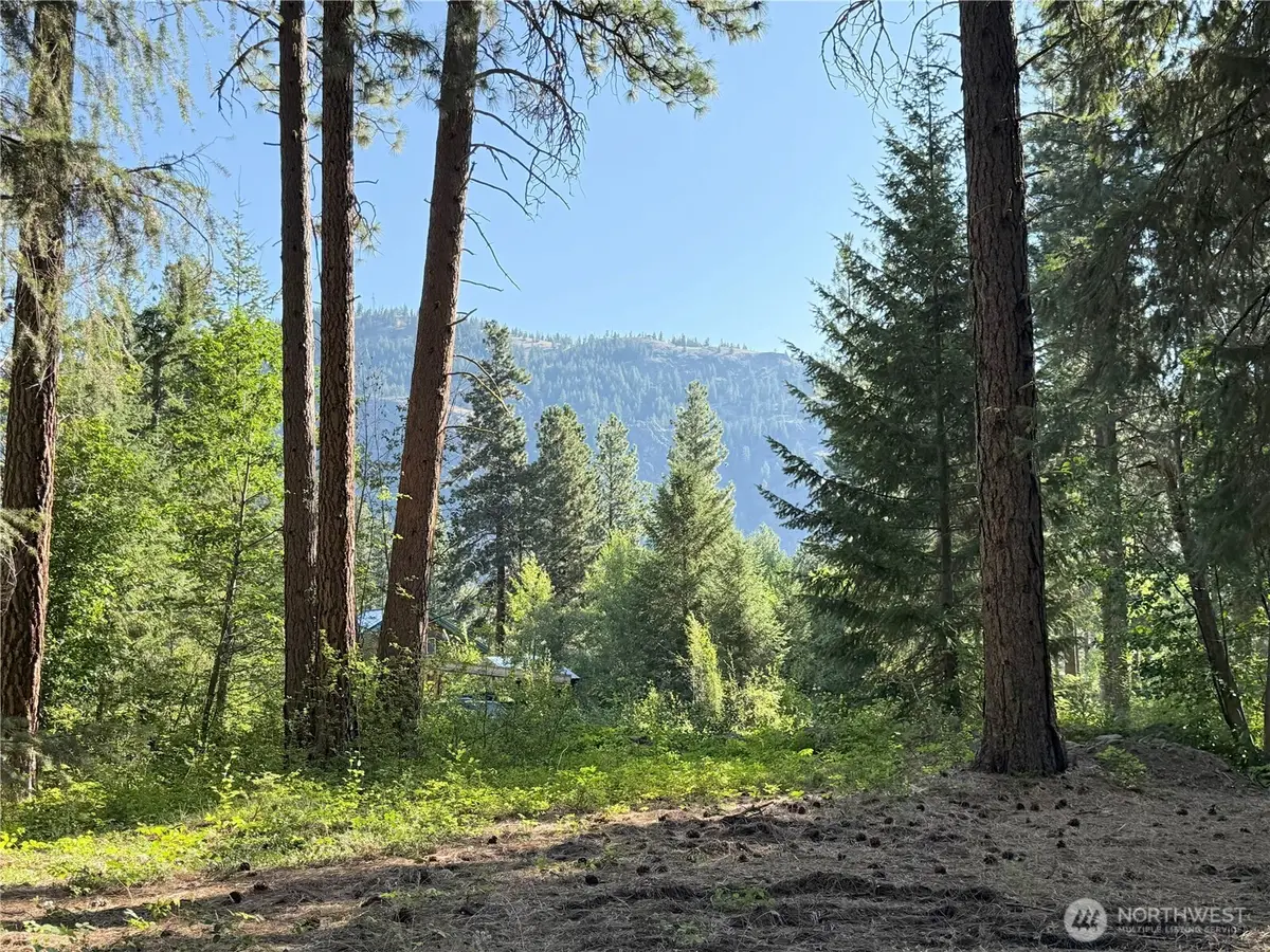 41 Davelaar Drive, Mazama, WA 98833 - Image #1