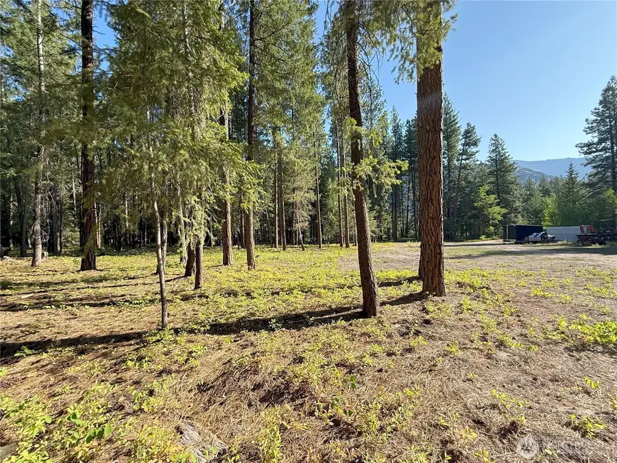 41 Davelaar Drive, Mazama, WA 98833 - Image #3