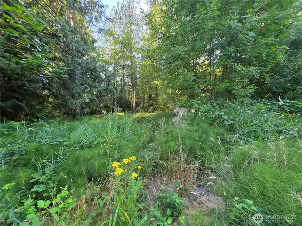 151 E Lakeshore Drive E, Shelton, WA 98584