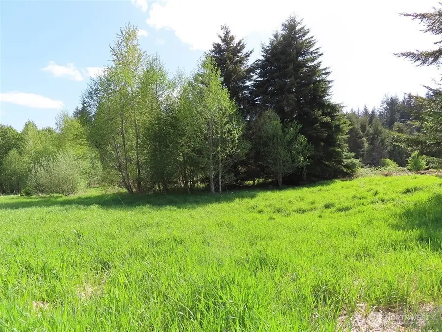 3898 State Route 6, Chehalis, WA 98532 - Image #3