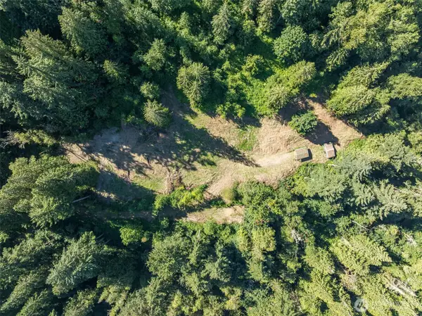 0 NE Johnson Rd (parcel# 222320000), La Center, WA 98629