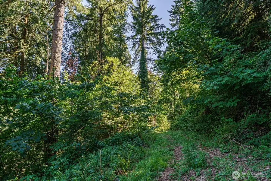 0 NE Johnson Rd (parcel# 222320000), La Center, WA 98629 - Image #3