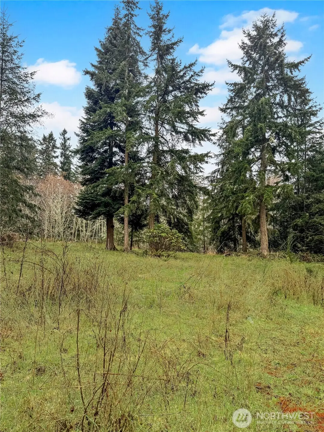 0 Prospect Avenue #3-5, Port Townsend, WA 98368 - Image #1