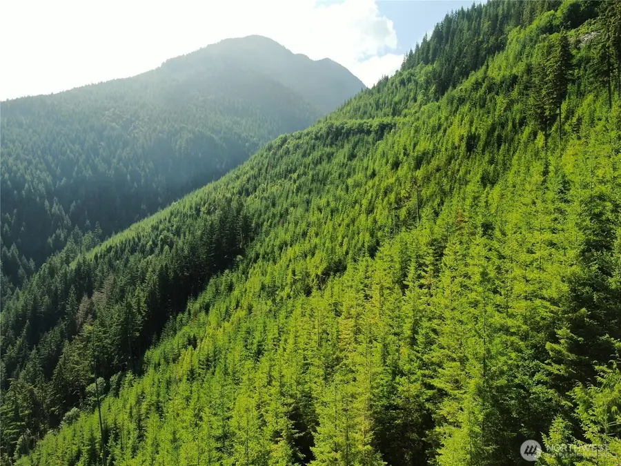 0 Finney Cumberland Road, Sedro Woolley, WA 98284 - Image #2