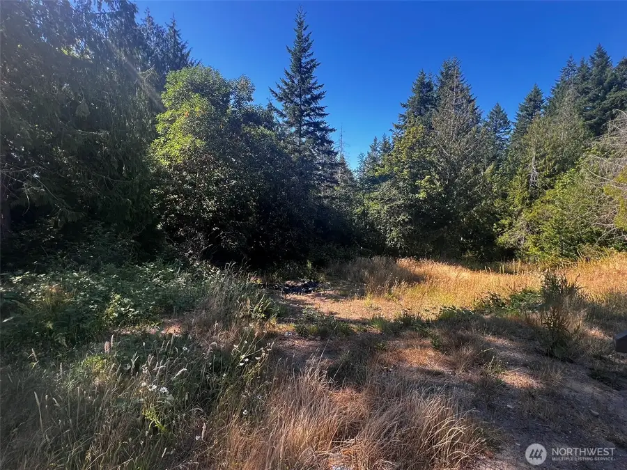 2946 Latte Place, Bremerton, WA 98312 - Image #3