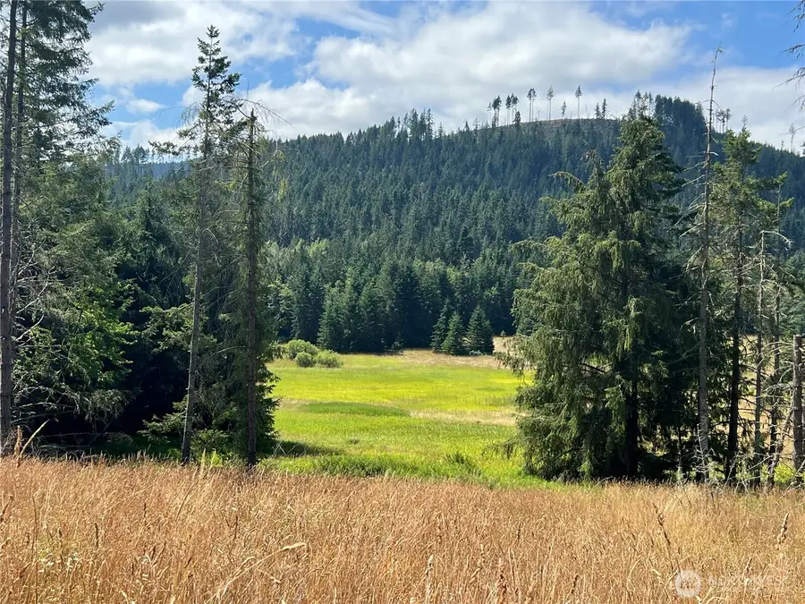 352 Lost Mountain Road, Sequim, WA 98382 - Image #3