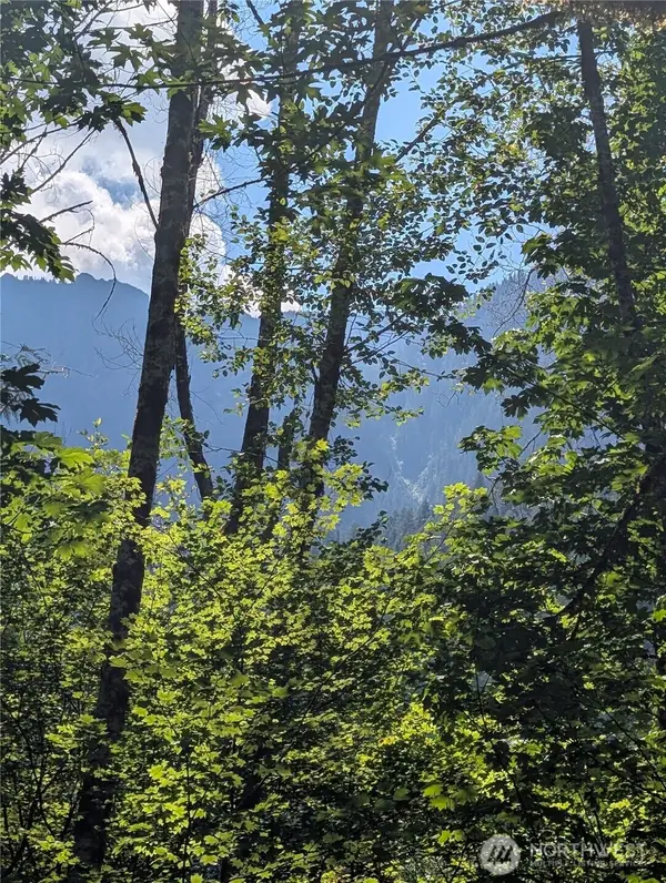 0 Clear Creek Road #32093600100100, Darrington, WA 98241