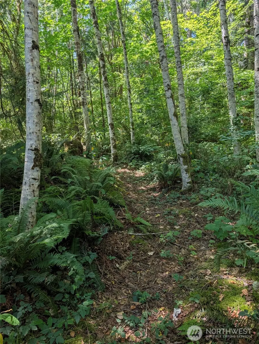 0 Clear Creek Road #32093600100100, Darrington, WA 98241 - Image #3