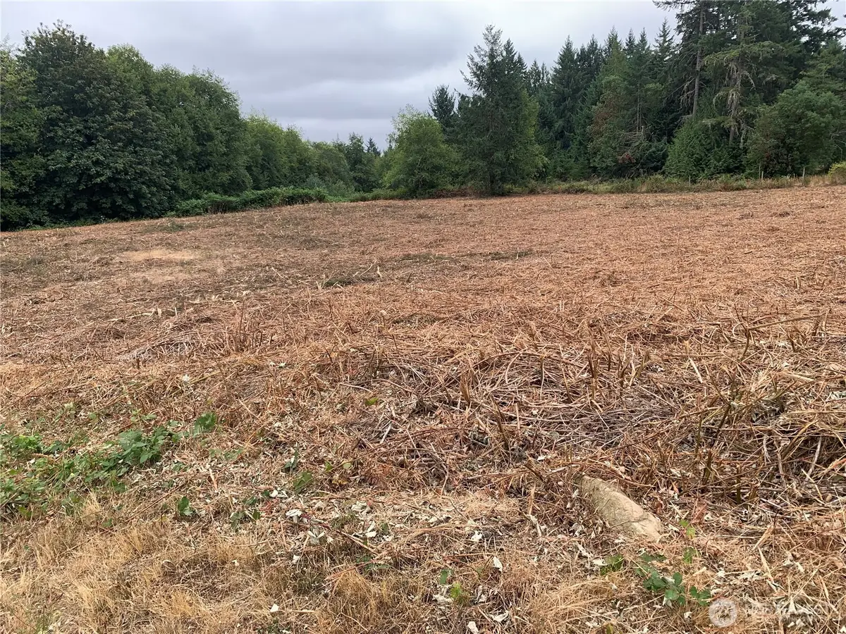 17226 17th Street Court Sw, Lakebay, WA 98349 - Image #1